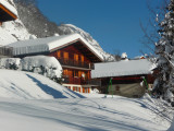 Fleur des Alpes n°5