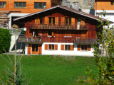 Fleur des Alpes n°5