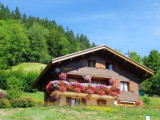 vue du chalet depuis la route du chinaillon