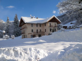 Vieux Noyer