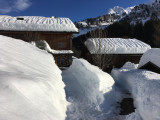 Coeur de neige 1724