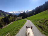 Balade à poney face à la chaîne des Aravis