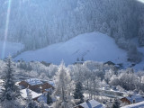 Génévriers