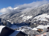 Génévriers