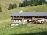 Tour du Mont Lachat