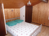 Cytheria 3