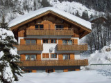 Rocailles (Gentianes)