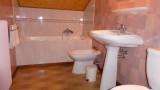 Vieux Noyer (Sorbier)