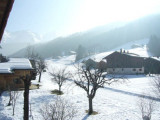 Vieux Noyer (Sorbier)