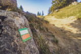 Sentier de découverte du milieu montagnard 3