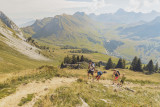 Sentier de découverte du milieu montagnard 5