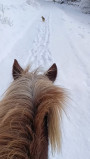 Balade à cheval au Grand-Bornand