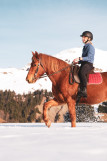 Balade à poney au Grand-Bornand