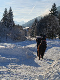 Balade à poney_Le Grand-Bornand