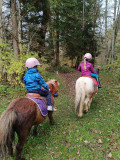 Initiation Premiers pas à poney encadrée_Le Grand-Bornand