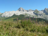 Sur le parcours du Tour du Lachat
