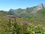 Sur le parcours du Tour du Lachat