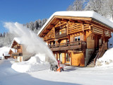 Déneigement des accès
