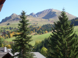 Fleurs des Alpes