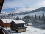 Fleurs des Alpes