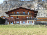 Fleurs des Alpes