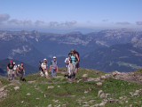 Tour de la mouche