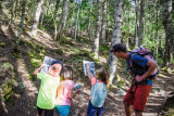 escape game nature