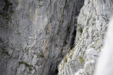 Via ferrata avec un guide au Grand-Bornand
