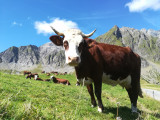 Col des Aravis