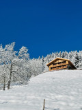 Chalet Happyview