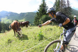 Circuit VTT enduro : le Grand tour du Grand-Bo