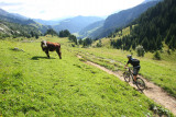 Circuit VTT enduro : le Grand tour du Grand-Bo