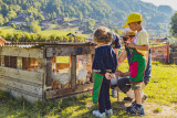Petits fermiers 7