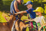 Petits fermiers 8
