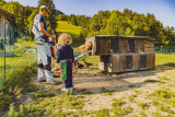 Petits fermiers 3