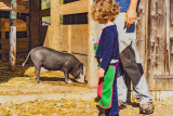 Petits fermiers 10