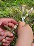 Le petit couteau