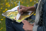 Carnets d'Alpage : 4ème rencontre du croquis en montagne_Le Grand-Bornand