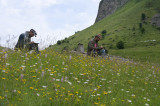 Carnets d'Alpage : 4ème rencontre du croquis en montagne_Le Grand-Bornand