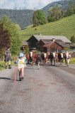 montée en alpage2