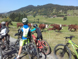 Stage junior VTT