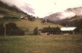 la_maison_du_patrimoine_m_georges_hofman.jpg