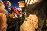 Crèche vivante pour Noel au Grand-Bornand