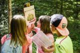 nature escape game