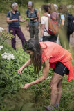 Cueillette plantes comestibles