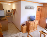 Cuisine et séjour/Kitchen and living room-Cornillon C n°3-Le Grand-Bornand