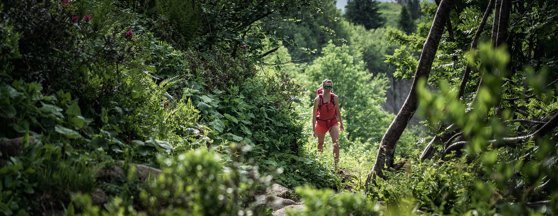 5 Idées hors des sentiers battus