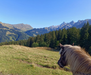 Balade à poney au Grand-Bornand