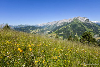Randonnée Fleurs de monatgne