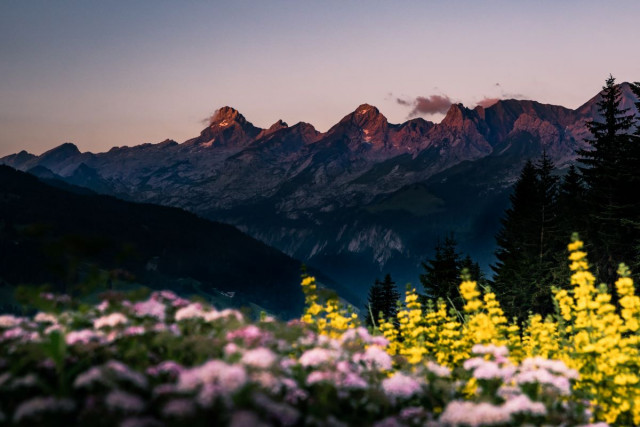 Reveil de la nature